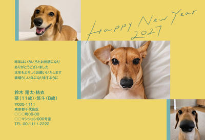 デザイナーズ写真年賀状2020